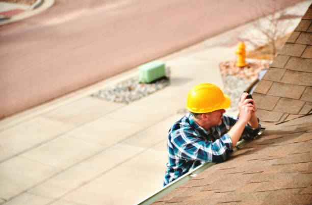 Best Roof Moss and Algae Removal  in Mount Gilead, OH